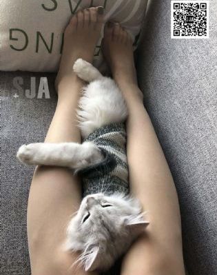 国产老头老太性视频_快播高清无删减WWW
